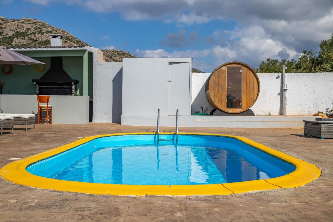 Old Olive Tree Holiday home