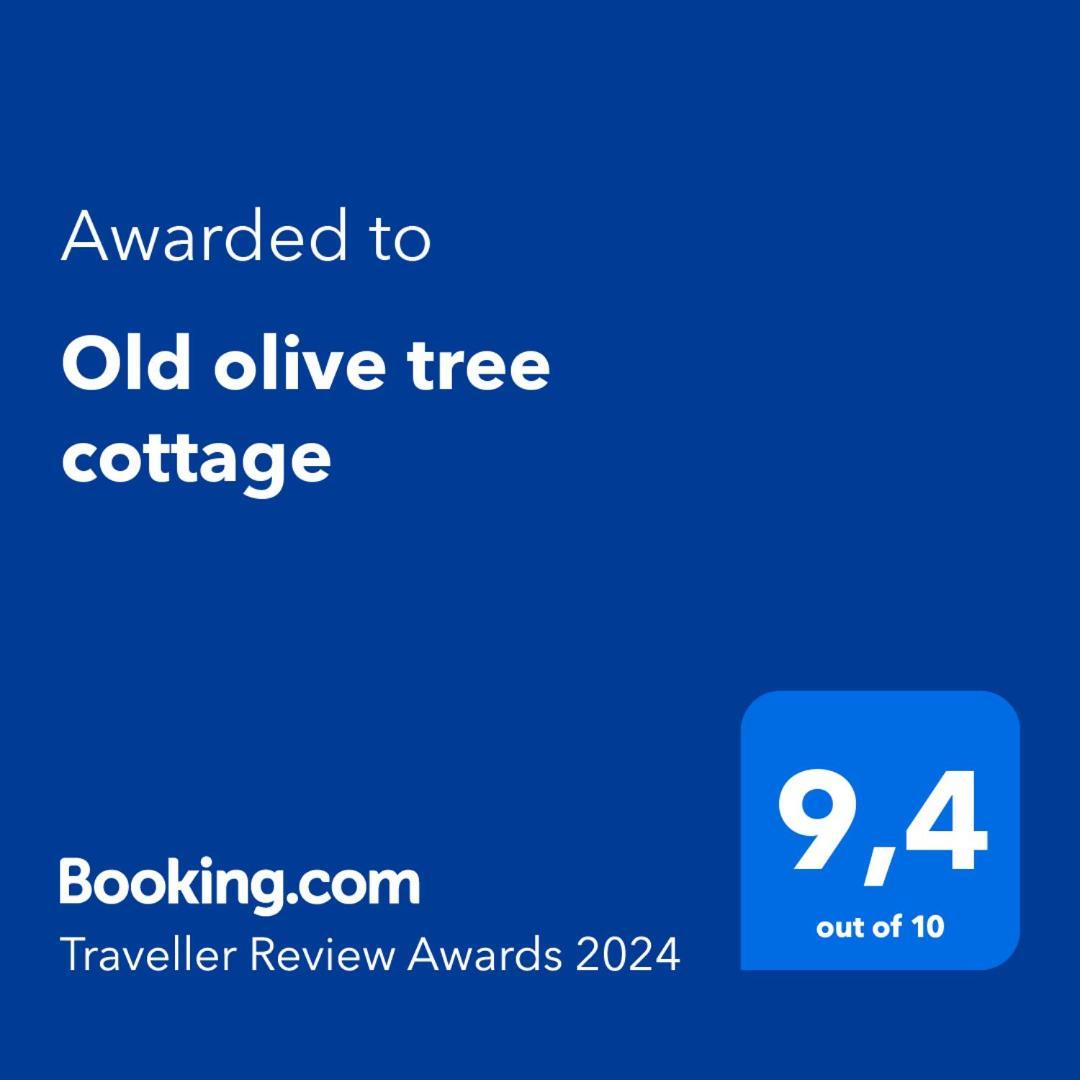 Old Olive Tree * Agii Apostoli (Monemvasia)